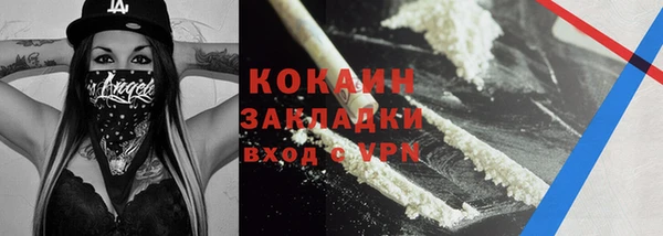 сатива Корсаков
