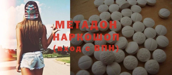 сатива Корсаков