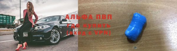 сатива Корсаков
