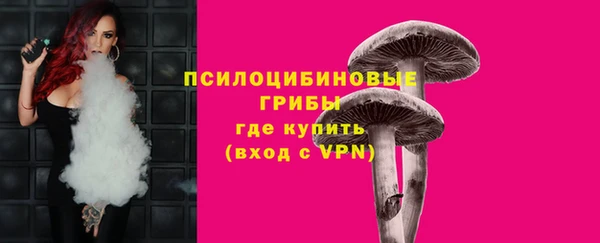 сатива Корсаков