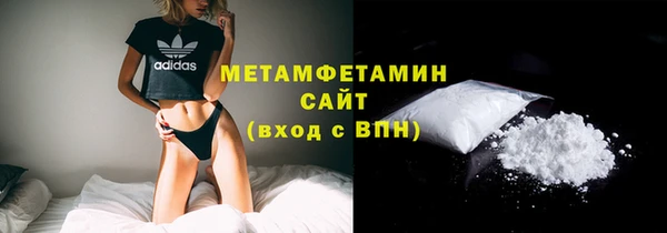 сатива Корсаков