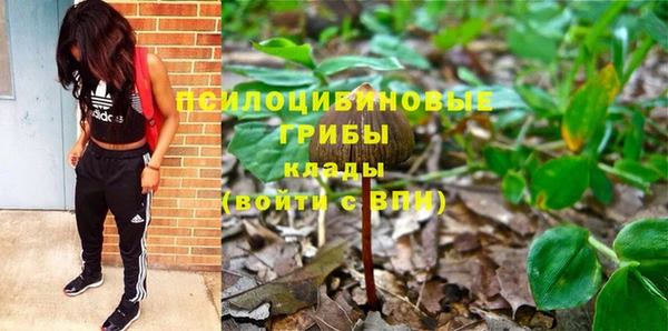 сатива Корсаков