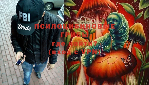 сатива Корсаков