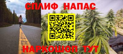 PSILOCYBIN Можга