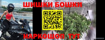 PSILOCYBIN Можга