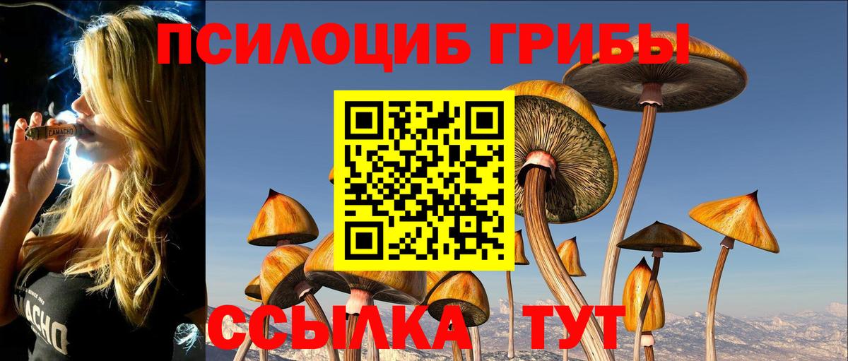 Псилоцибиновые грибы мицелий  Галлюциногенные грибы MAGIC MUSHROOMS  Вход с VPN  Мегион 